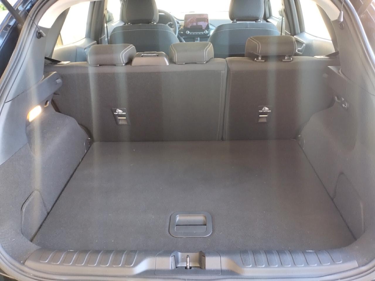 Ford Puma 1.5 EcoBlue 120 CV S&S Titanium