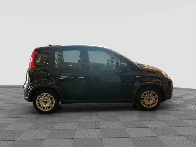 FIAT Panda Panda 1.0 FireFly S&S Hybrid