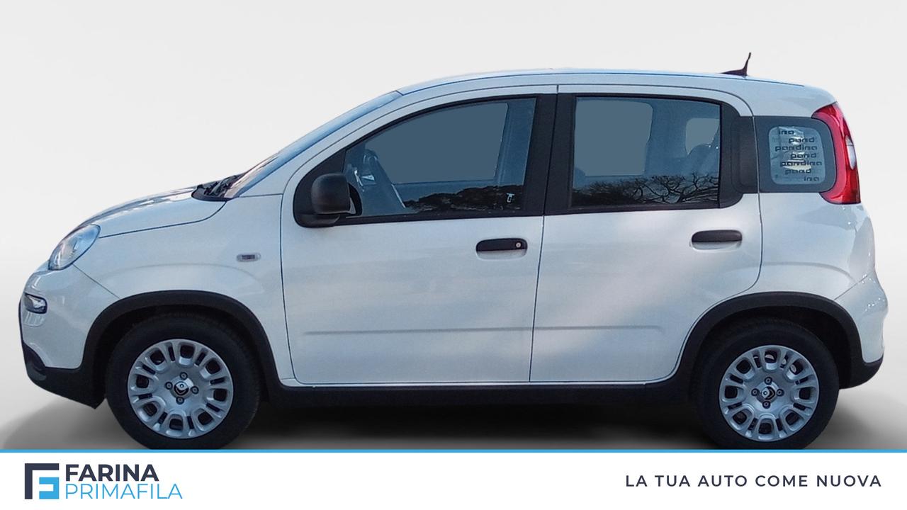 FIAT Panda 1.0 70cv Hybrid Panda