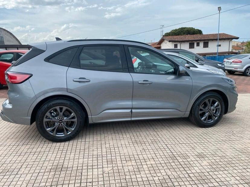 Ford Kuga 2.0 EcoBlue 120 CV aut. 2WD ST-Line