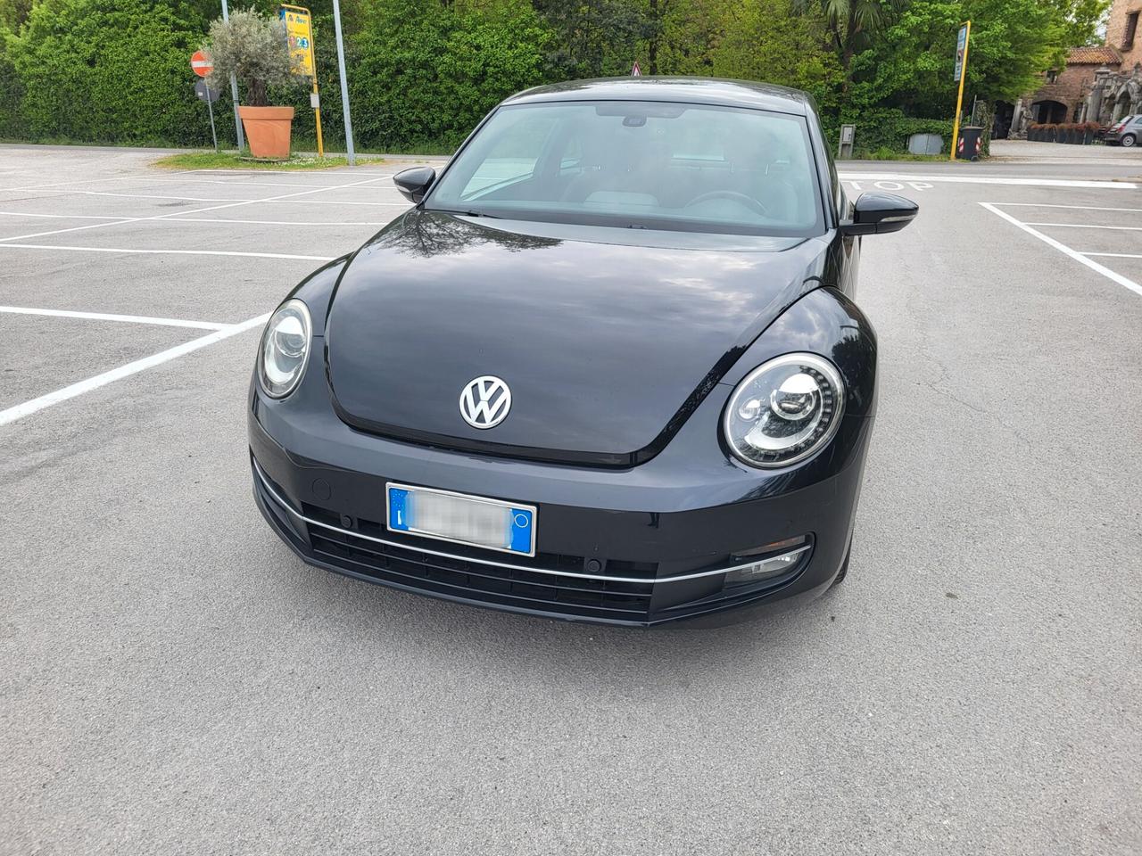 Volkswagen Maggiolino