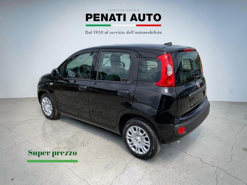 FIAT Pandina 1.0 FireFly 65cv S&S 6m Hybrid Icon