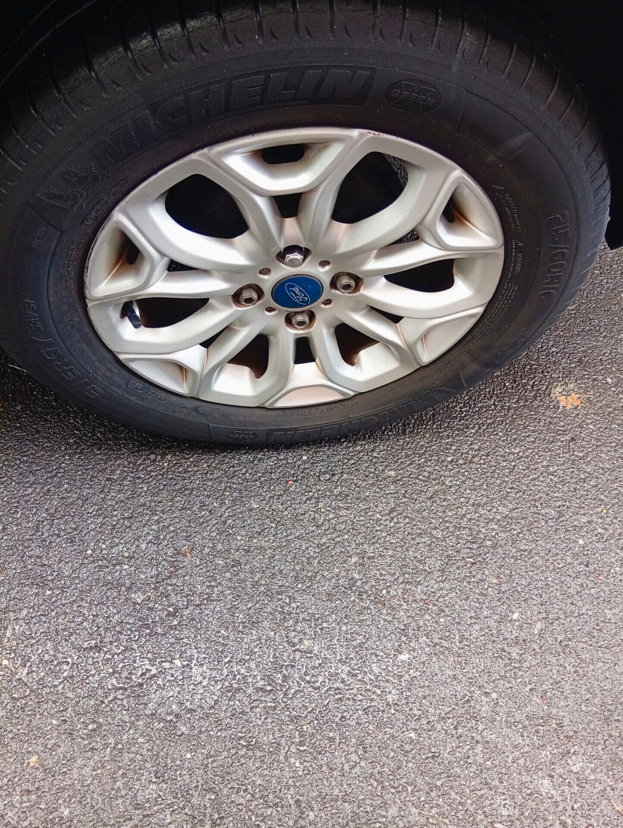 Ford EcoSport 1.5 TDCi 95 CV Titanium S