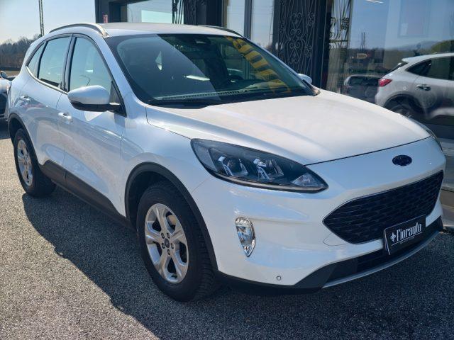 FORD Kuga 1.5 EcoBlue 120 CV 2WD Titanium Business