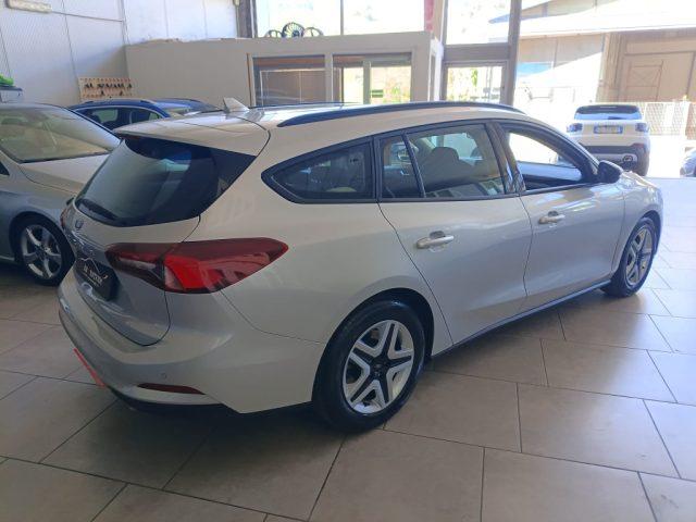 FORD Focus 1.5 EcoBlue 120 CV SW Business