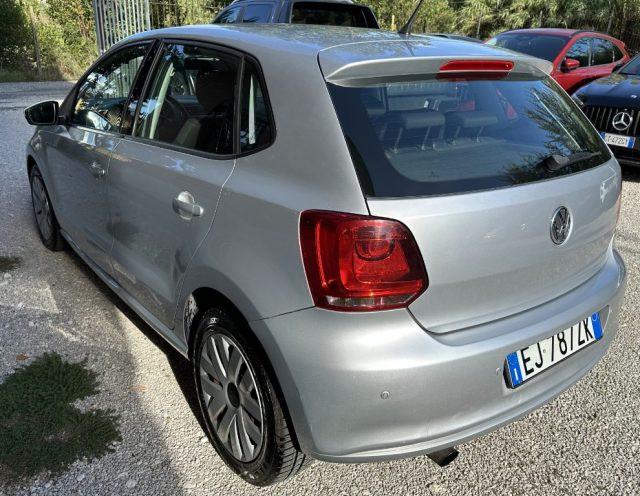 VOLKSWAGEN Polo 1.6 TDI 90CV DPF 5 Porte GARANZIA