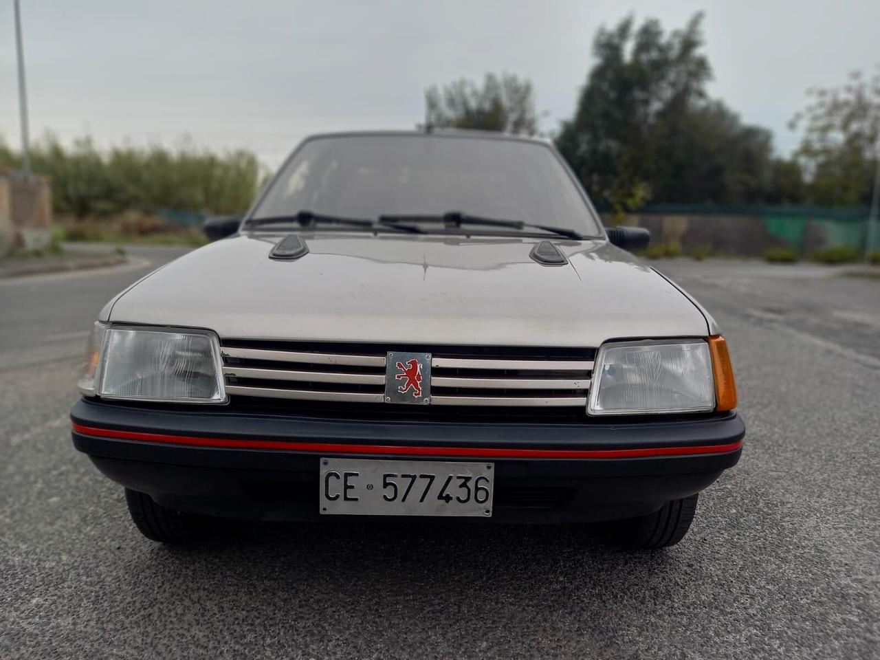 PEUGEOT 205 1988 NO RUGGINE