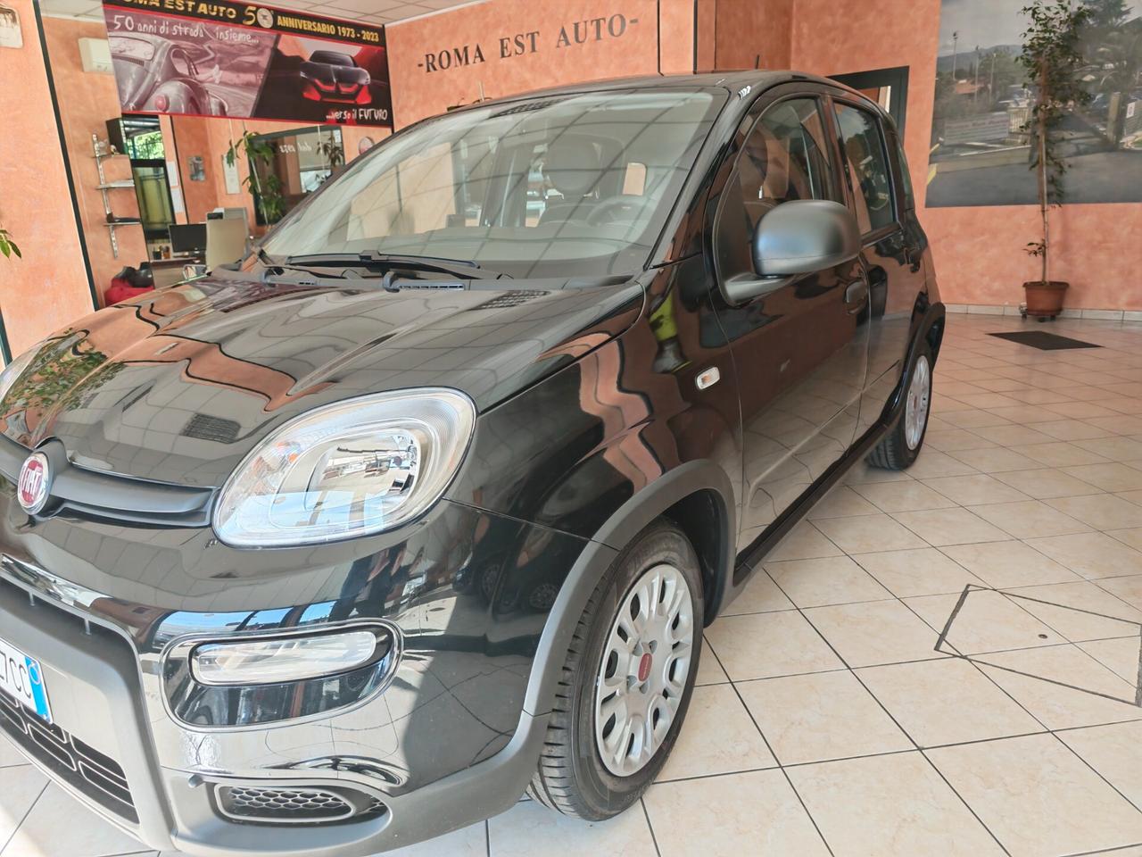 Fiat Panda 1.0 FireFly S&S Hybrid