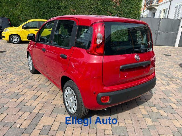 FIAT Pandina PROMO FINANZIAM 1.0 FireFly 65 CV Hybrid Pop KM 0