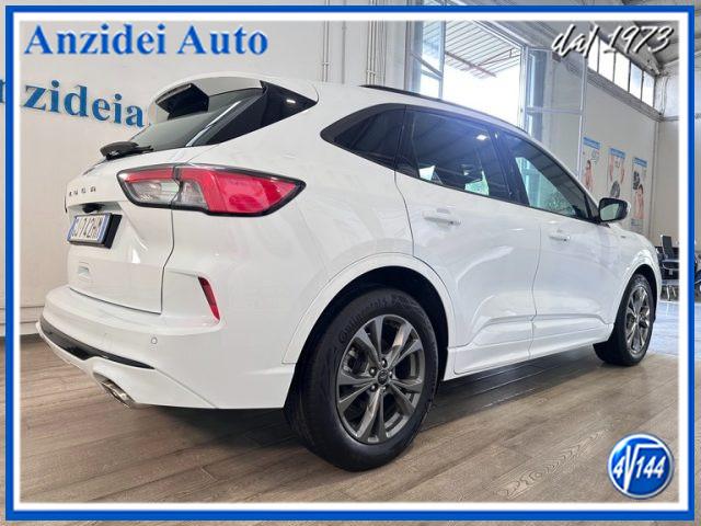 FORD Kuga 1.5 EcoBlue 120 CV aut. 2WD ST-Line