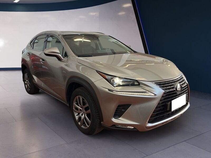 Lexus NX I 2018 300h 2.5 Premium 4wd cvt