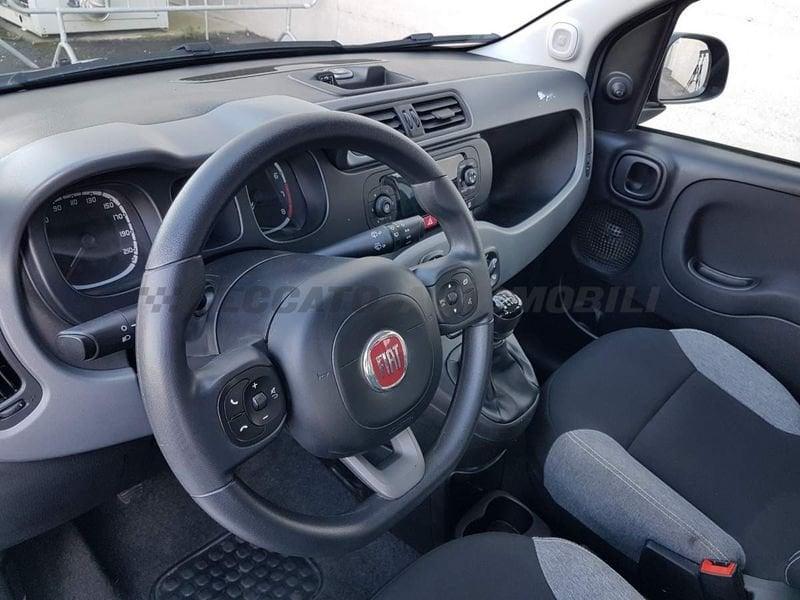 FIAT Panda III 2021 1.0 firefly hybrid City Life s&s 70cv 5p.ti