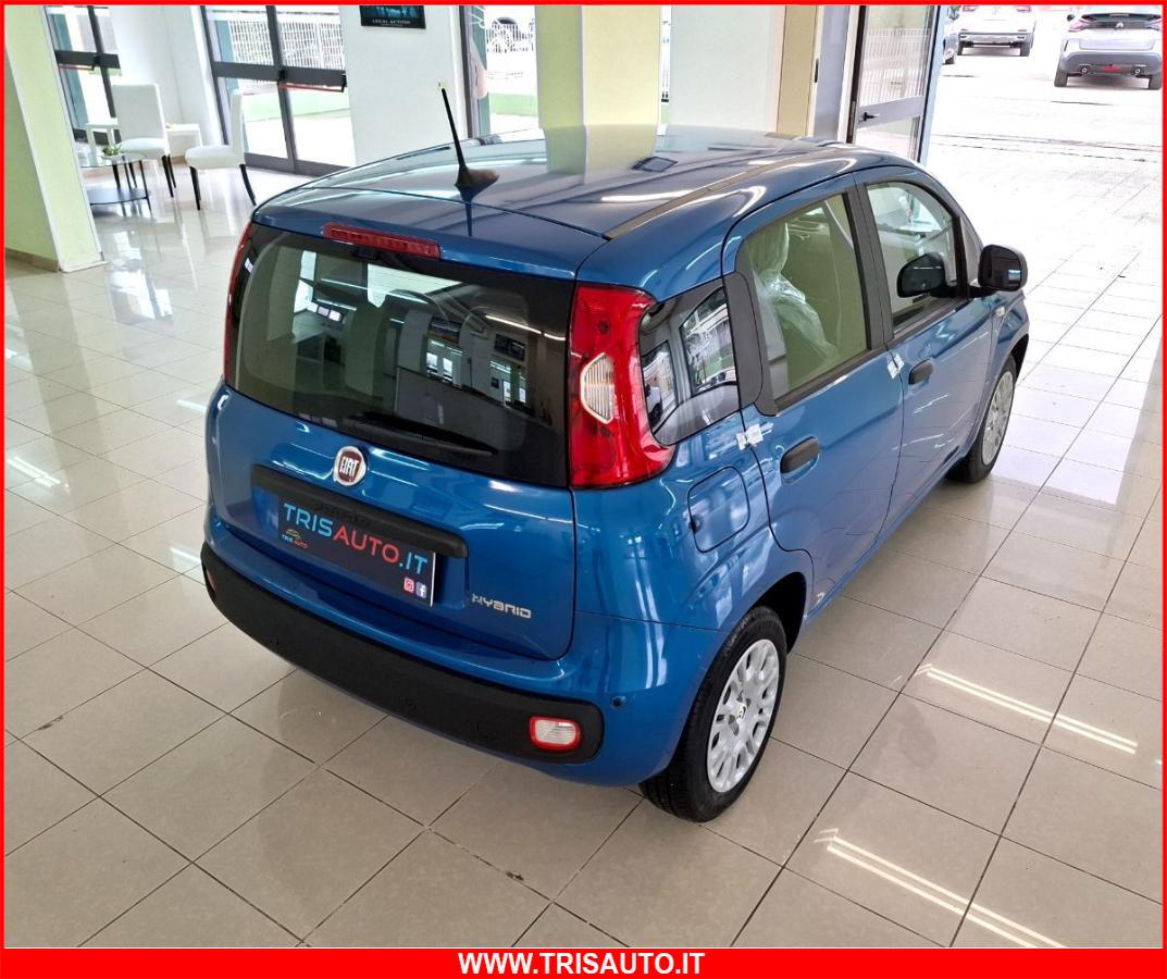 FIAT Panda 1.0 FireFly S&S Hybrid 5p.ti NEOPATENTATI
