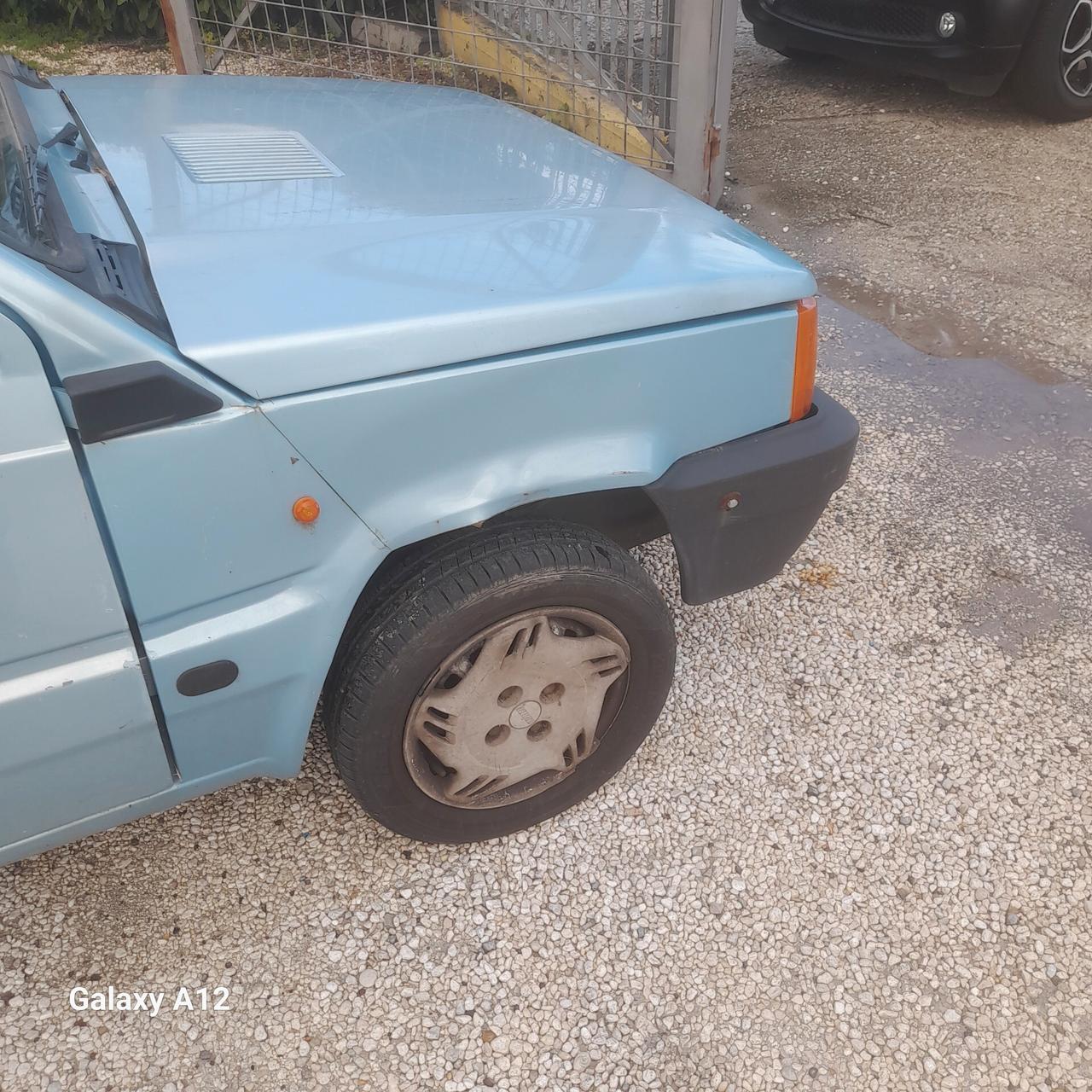 Fiat Panda 1100 i.e. cat College