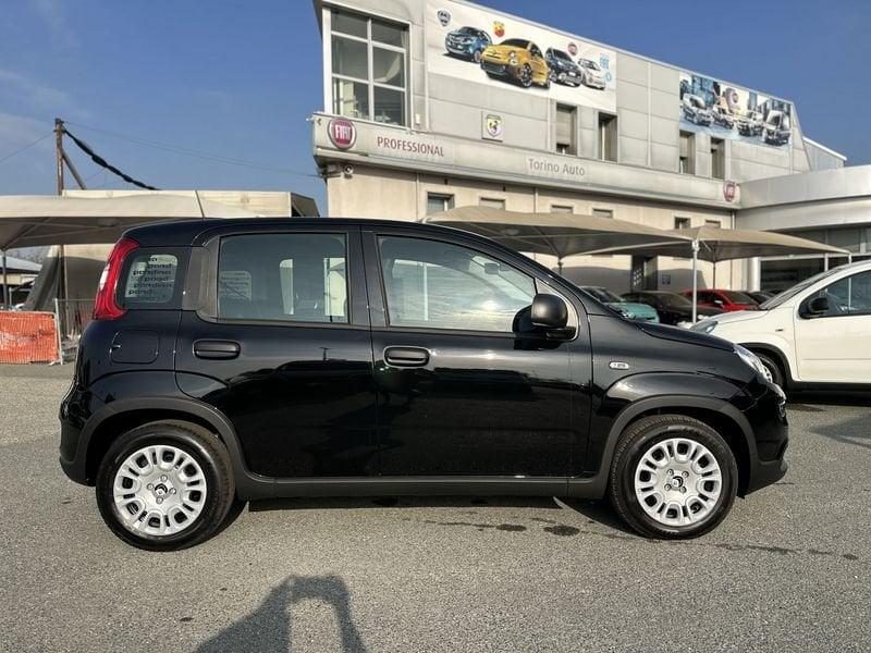 FIAT Panda 1.0 FireFly S&S Hybrid Pandina