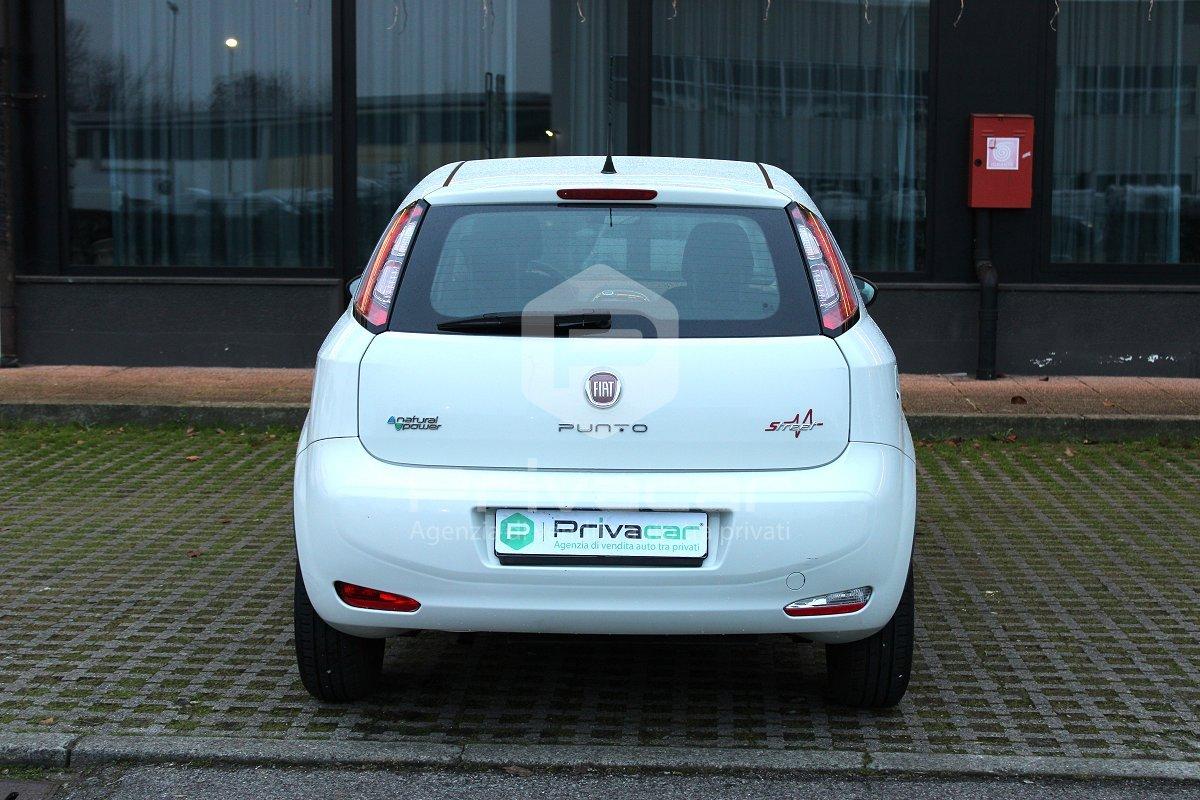 FIAT Punto 1.4 8V 5 porte Natural Power Street