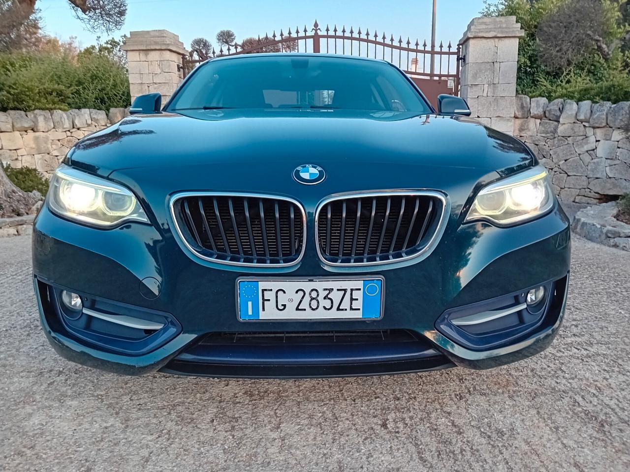 Bmw 218 218d Coupé Sport