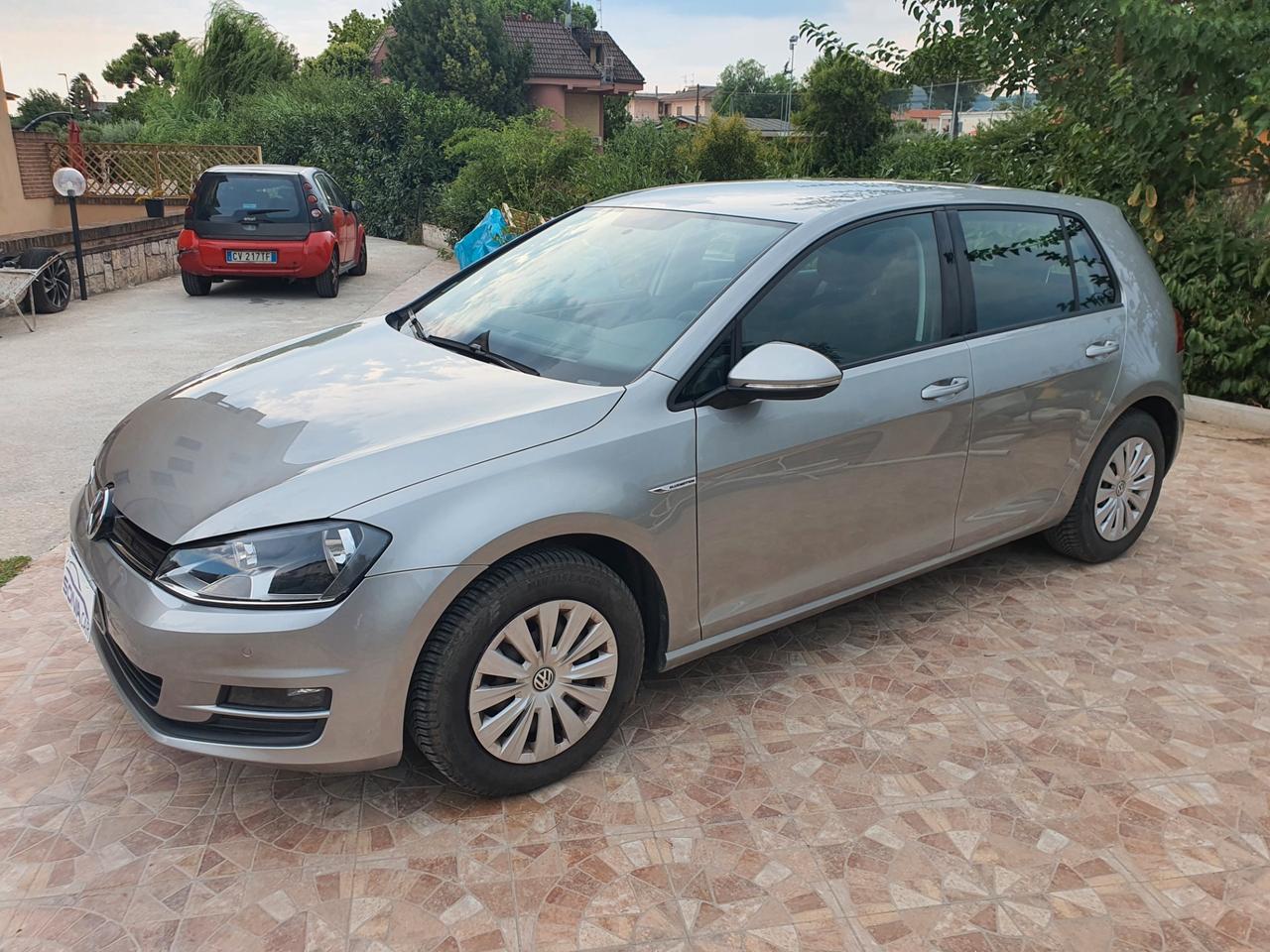 Volkswagen Golf 1.4 TGI 5p. Trendline BlueMotion