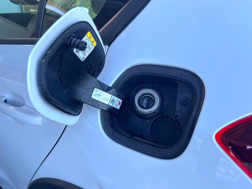 FORD Focus 1.0 EcoBoost Hybrid 125 CV 5p. Active del 2023