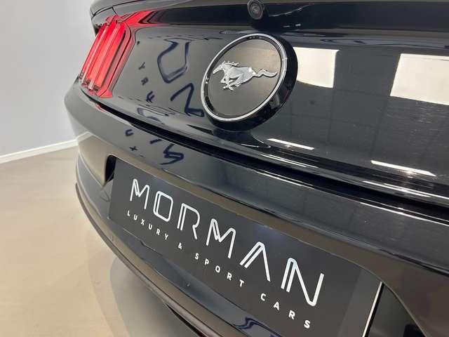 Ford Mustang Mustang Fastback 2.3 ecoboost