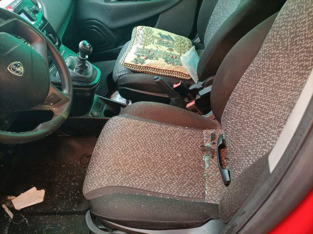 LANCIA Ypsilon 1.0 FireFly 5 porte S&S Hybrid Ecochic Silver