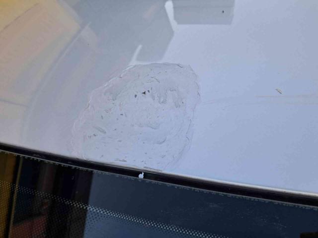 VOLKSWAGEN Golf 1.6 5p. Comfortline ok neopatentati