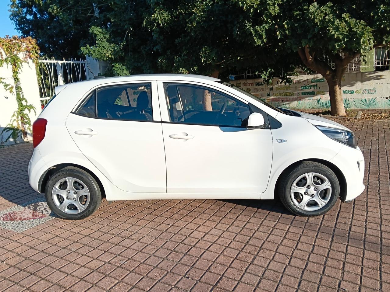 Kia Picanto 1.0 12V 5 porte Urban 2023