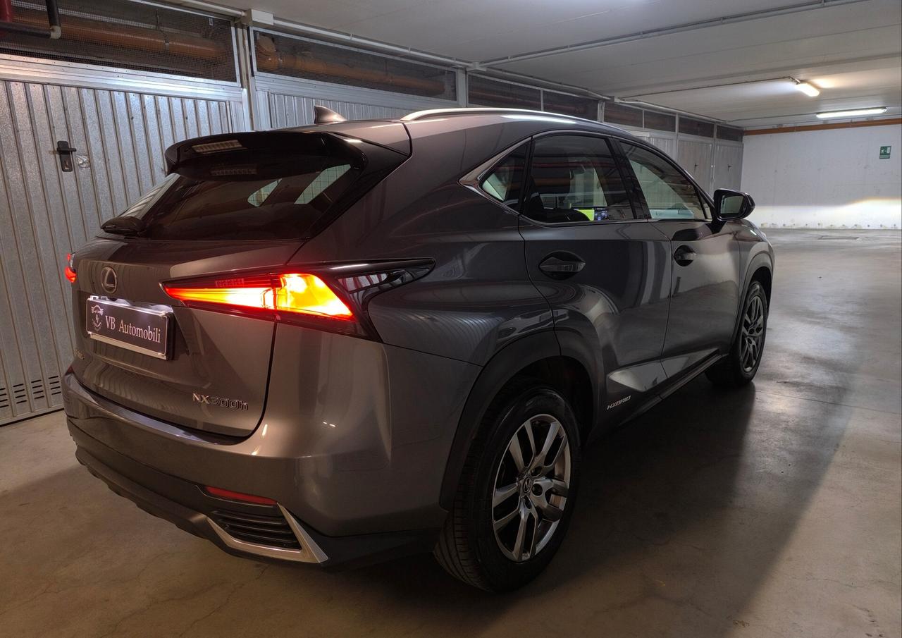 Lexus NX 300h Hybrid Business