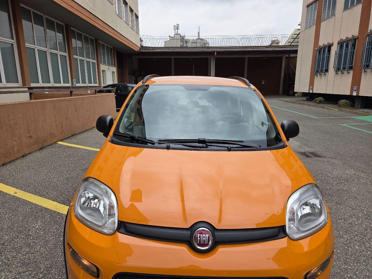 FIAT - Panda - 1.0 FireFly S&S Hybrid City Life