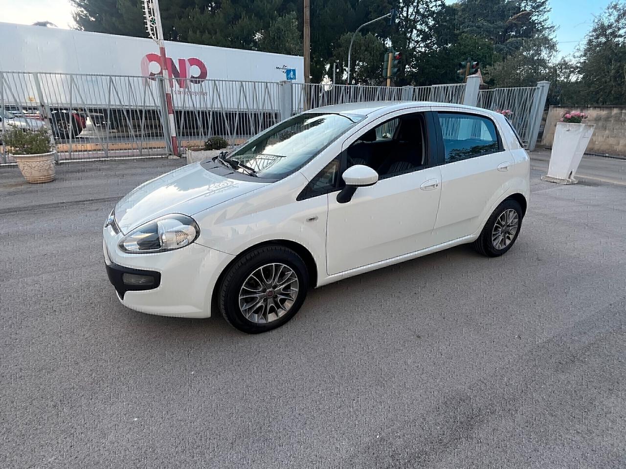 Fiat Punto 1.3 Mjt 75 CV Neopatentati UsatoSicuro