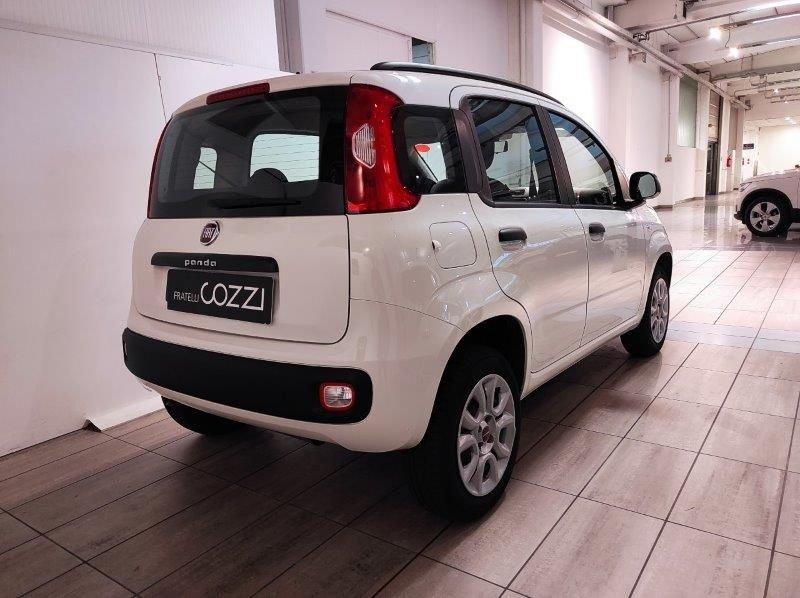 FIAT Panda 3ª serie 0.9 TwinAir Turbo Natural Power Easy