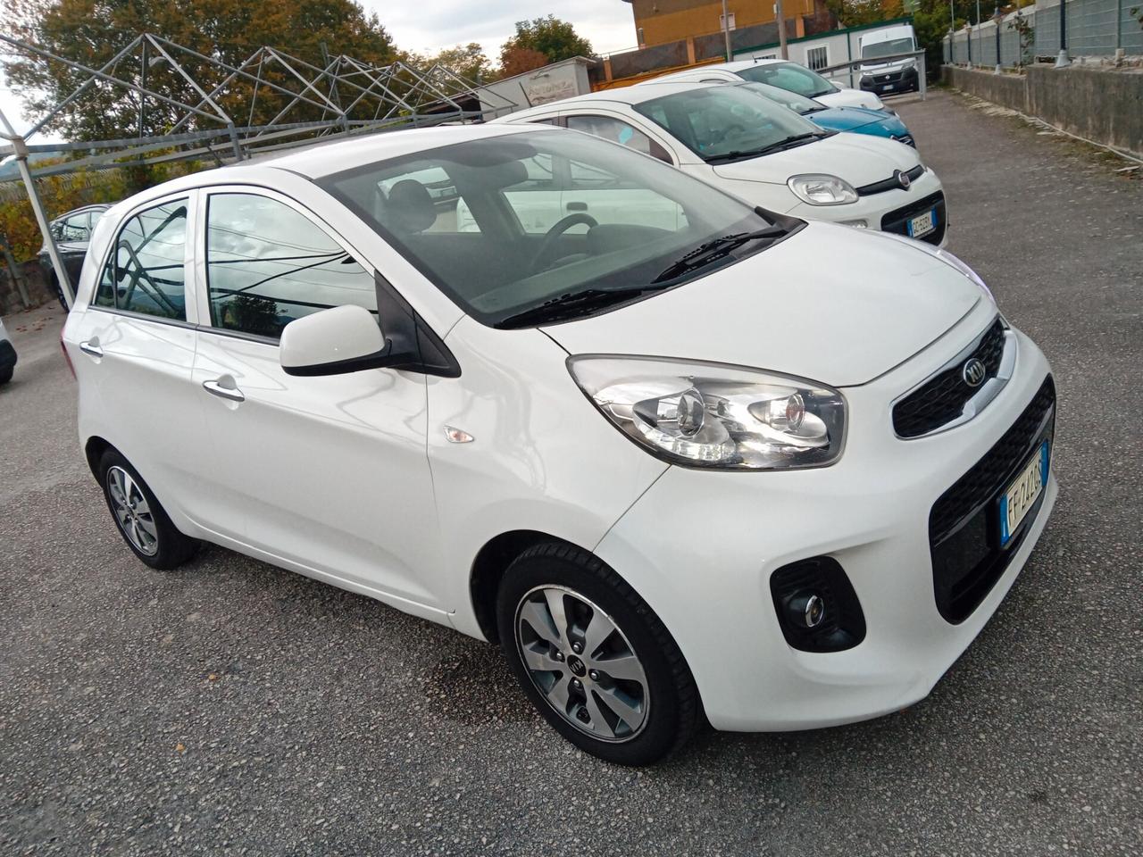 Kia Picanto 1.0 12V 5 porte Glam