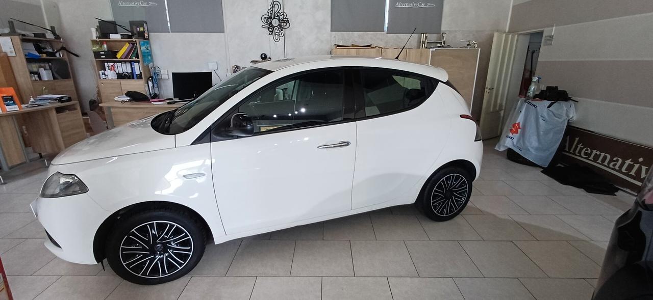 Lancia Ypsilon 1.2 69 CV 5 porte Gold