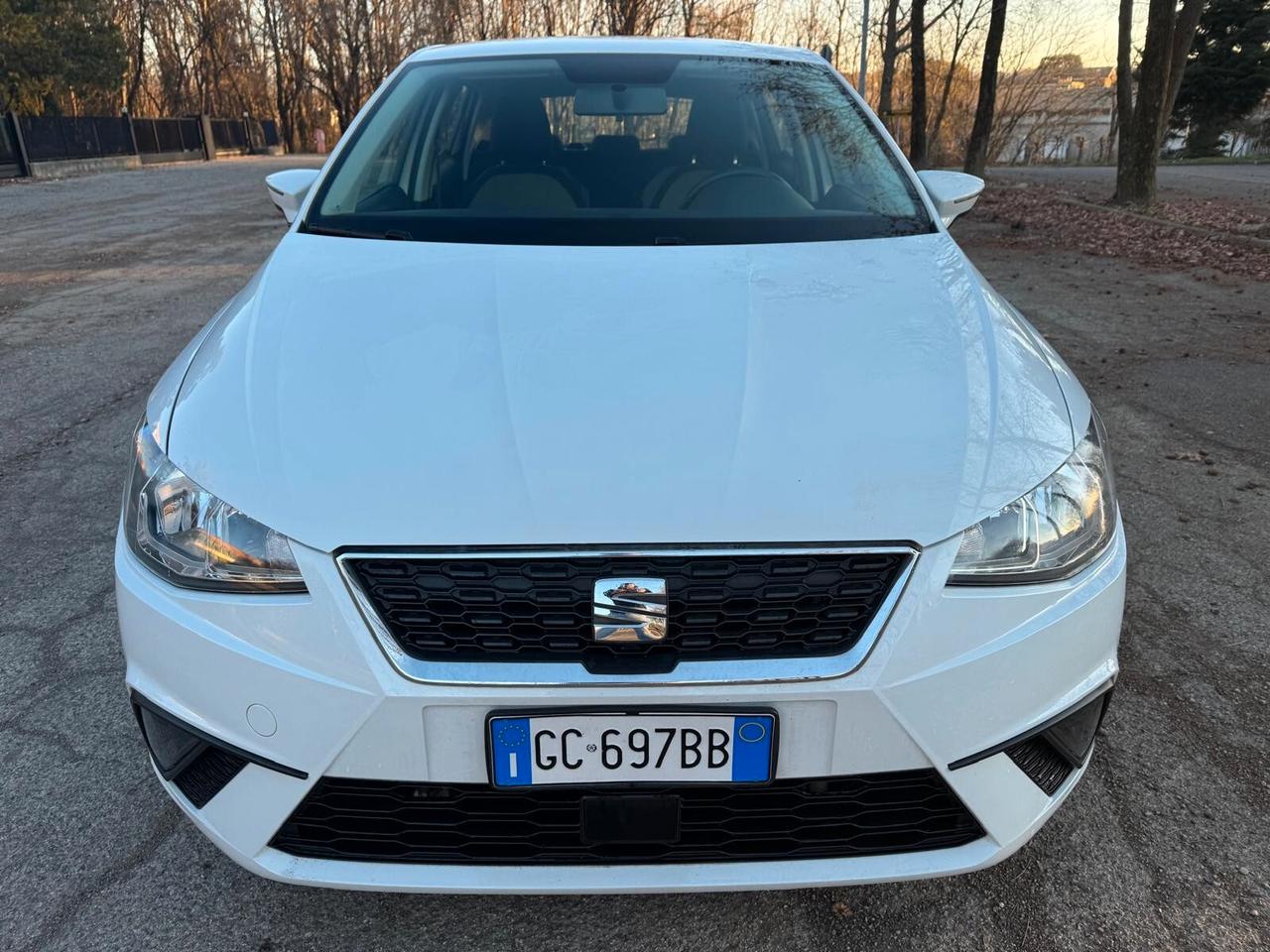 Seat Ibiza 1.6 TDI 95 CV 5 porte Business