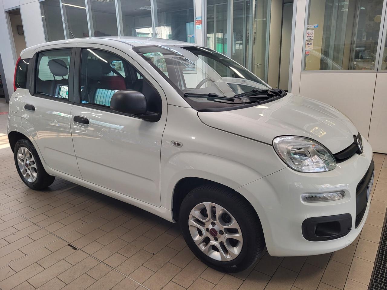 Fiat Panda 1.2 Young PREZZO REALE!!