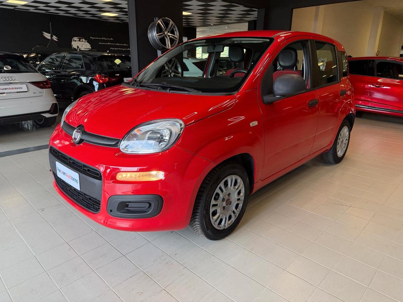 FIAT Panda 3ª serie Panda 1.2 Easy