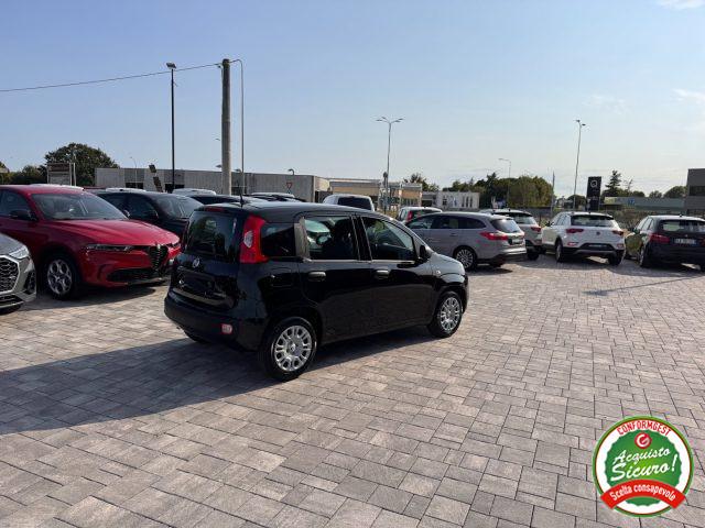 FIAT Panda 1.0 FireFly S&S Hybrid ANCHE NEOPATENTATI