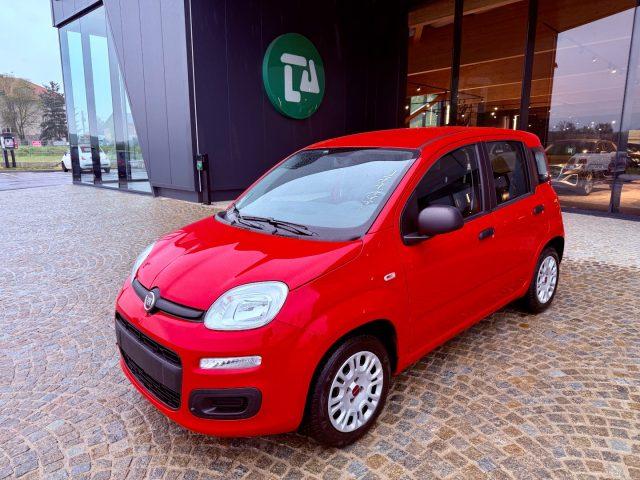 FIAT New Panda UNIPRO - KM 50.000 - NO OBBLIGO FINANZIAMENTO