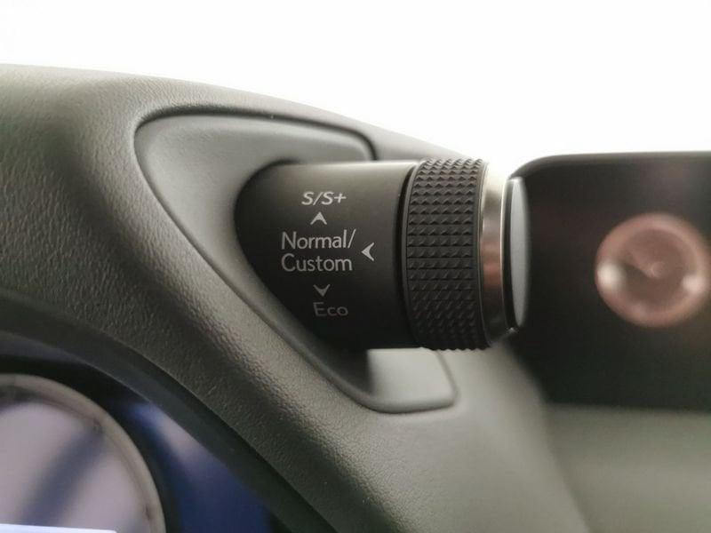 Lexus UX 250h 2.0 F-Sport 2wd cvt