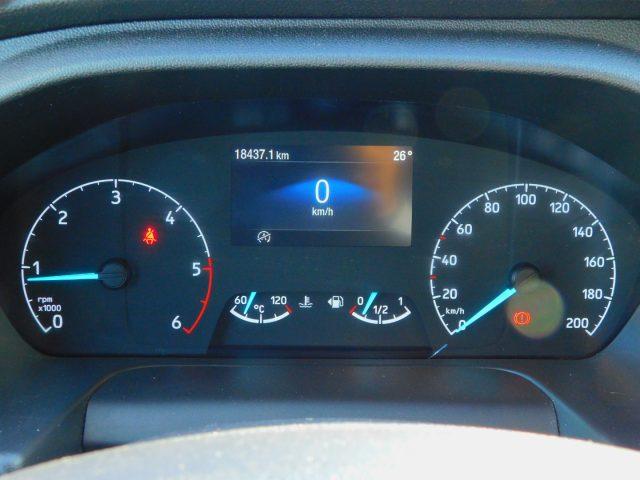 FORD Transit 290 2.0TDCi EcoBlue MHEV 130CV PM-TM Furgone Trend