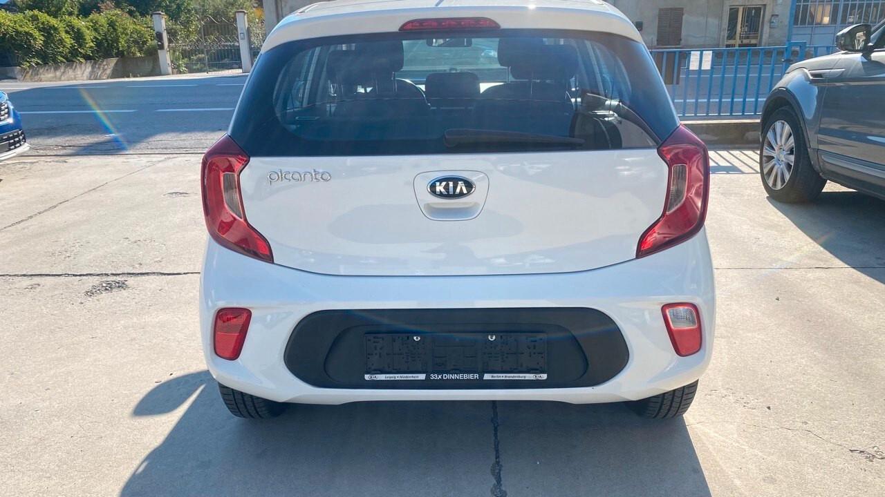 Kia Picanto 1.0 12V 5 porte Cool