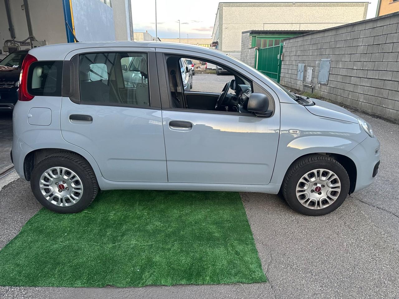 FIAT PANDA 1.2 BENZINA NEOPATENTATI