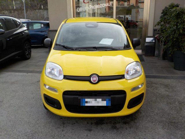 FIAT Panda MY25 - 1.0 FireFly Hybrid POP