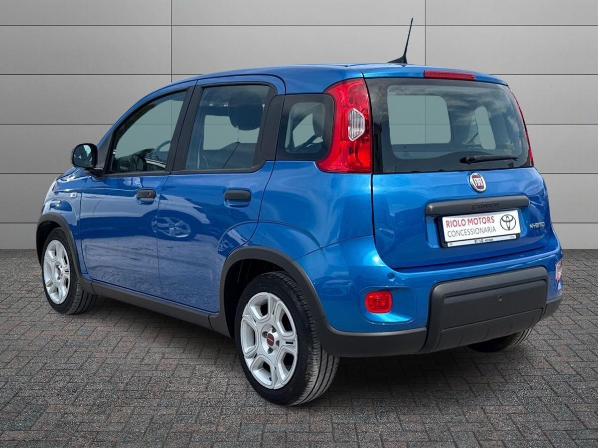 FIAT Panda III 2021 - Panda 1.0 firefly hybrid s&s 70cv