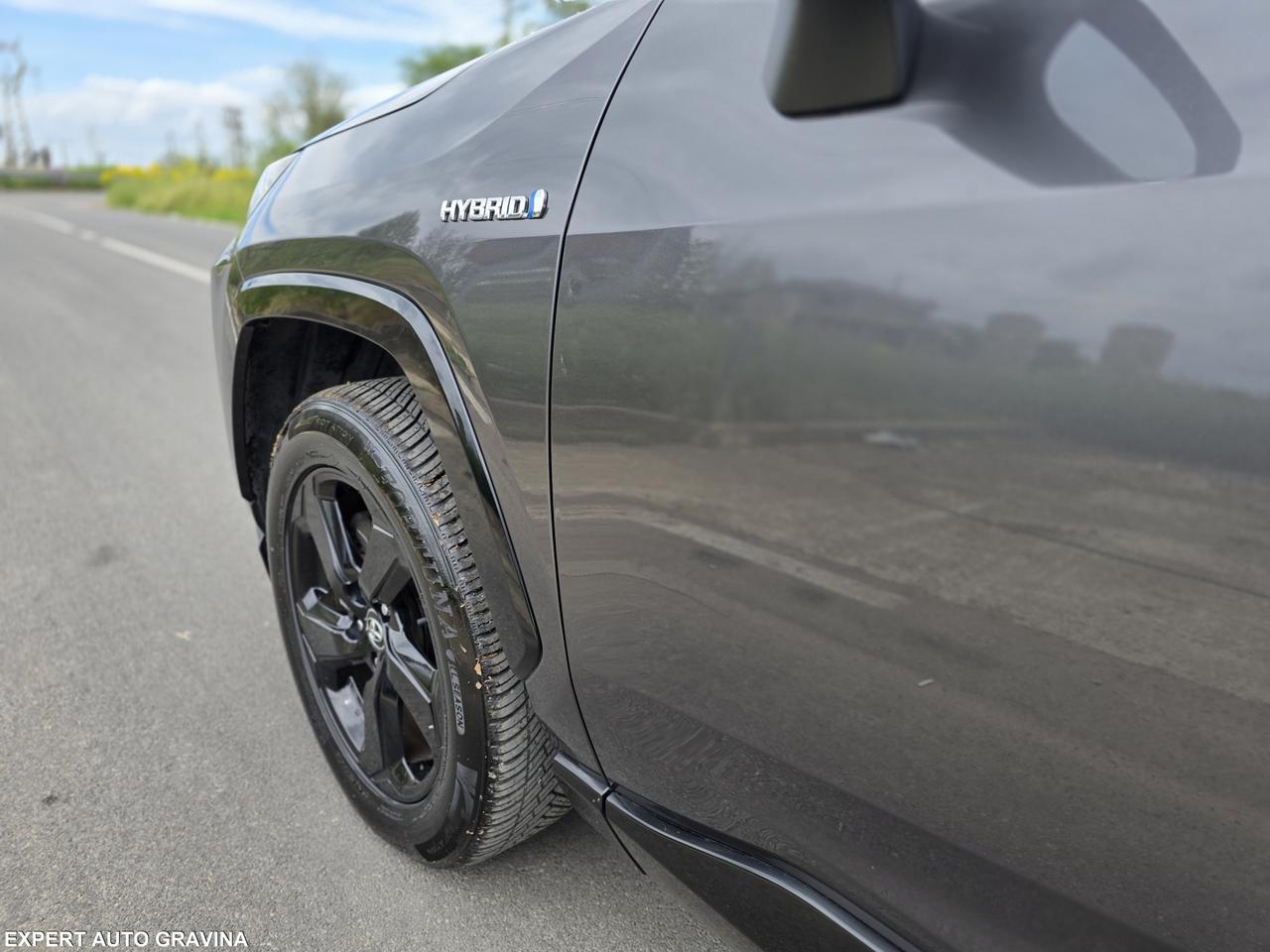 TOYOTA RAV4 STYLE HYBRID