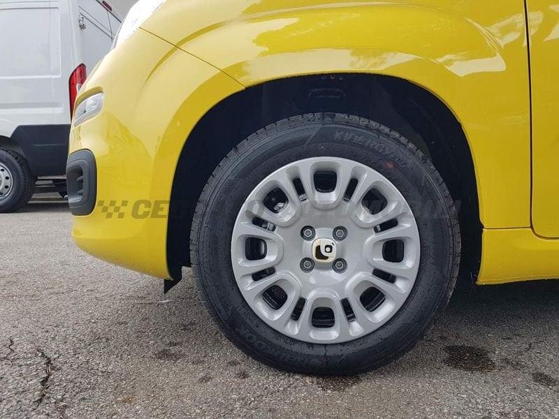 FIAT Panda Panda 1.0 70cv Hybrid Icon