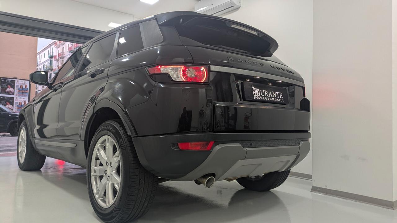 Rover Range Evoque 2.2 TD4 150cv 5p. Aut.
