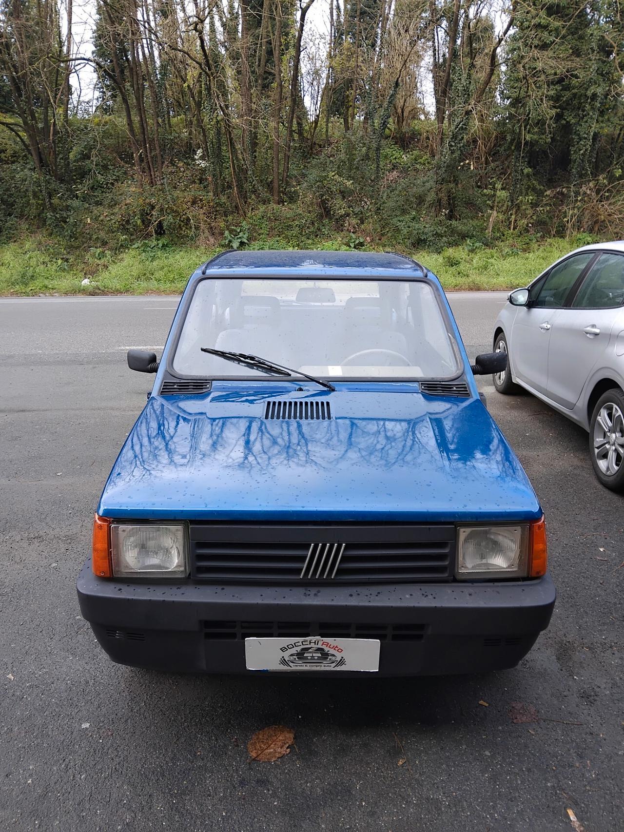 Fiat Panda 1100 i.e. cat Young