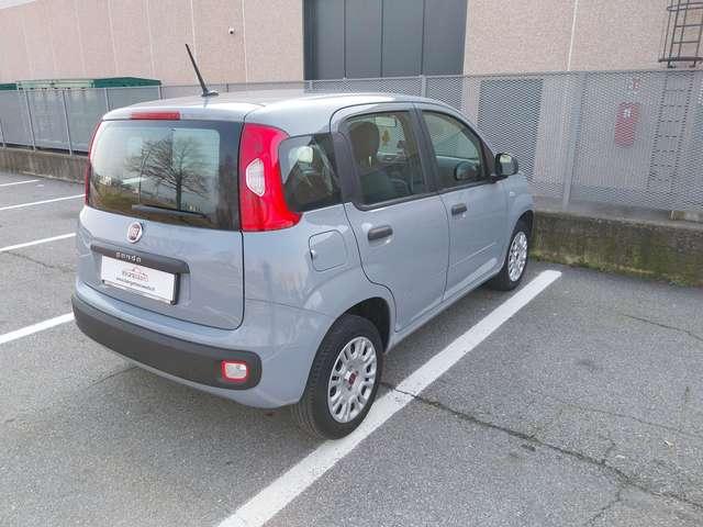 Fiat Panda Panda 1.2 Easy