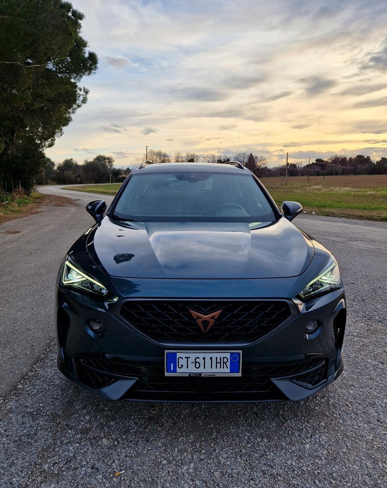 Cupra Formentor 2.0 TDI 4x4 DSG garanzia ufficiale